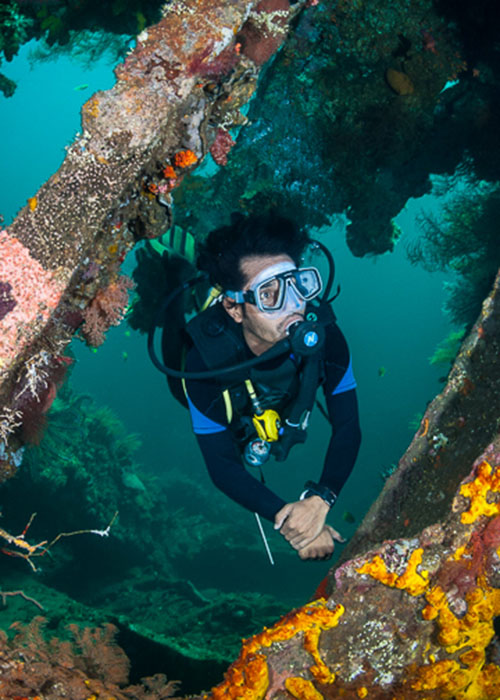 A diver exploring the wreck of the USAT Liberty, Tulamben, Bali, Indonesia.